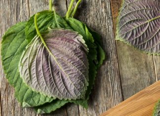 The Magic of Banana Peel: Erasing Acne Scars and Dark Spots