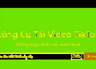 The Ultimate Guide to Downloading TikTok Videos: A Watermark-Free Experience with SnapTik