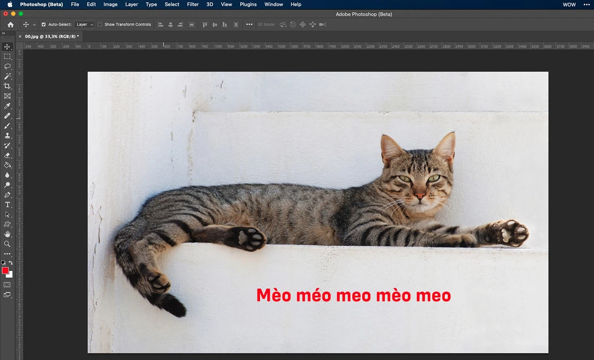 How to Easily Create Text Borders in Photoshop Using the Stroke Tool