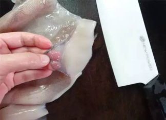 The Importance of Properly Cutting Food for an Enjoyable Meal