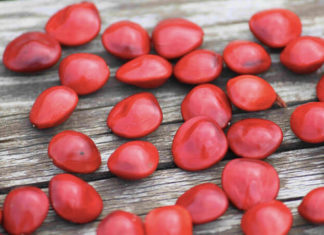 Will Eating Red Bean Sweet Soup on the Ghost Festival Lead You to Find Love?