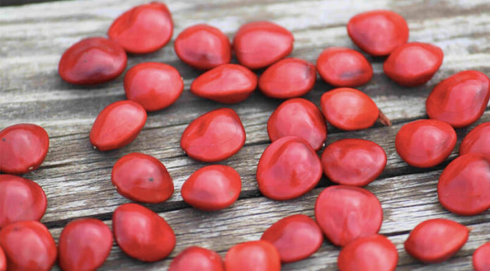 Will Eating Red Bean Sweet Soup on the Ghost Festival Lead You to Find Love?