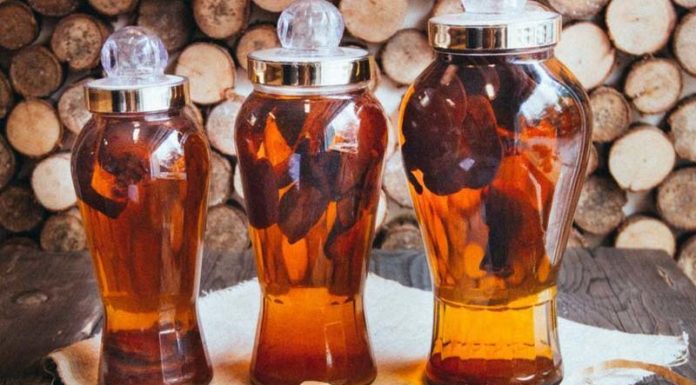 “Unlock the Secrets of Reishi Mushrooms: 8 Benefits to Supercharge Your Health”