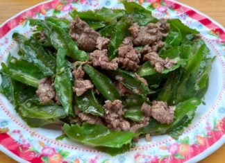 Dragon Fruit Inspired Recipes for Family Meals