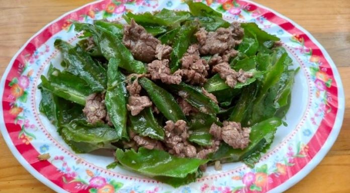 Dragon Fruit Inspired Recipes for Family Meals