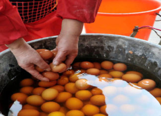 Exploring the Culinary Art of Boiled Urine Eggs