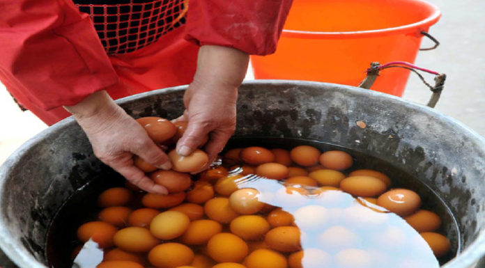 Exploring the Culinary Art of Boiled Urine Eggs