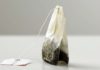 Uncovering the 10 Superb Benefits of Throwing Away Tea Bags