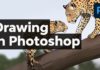 Exploring Drawing Tools Available in Photoshop