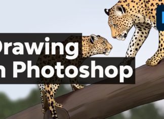 Exploring Drawing Tools Available in Photoshop