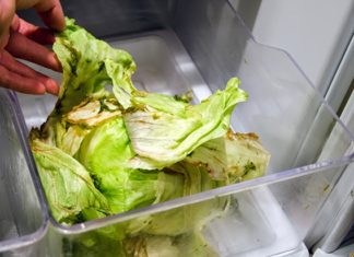 “Remarkable Ingredient that Revives Lettuce to Make it Taste Delicious”