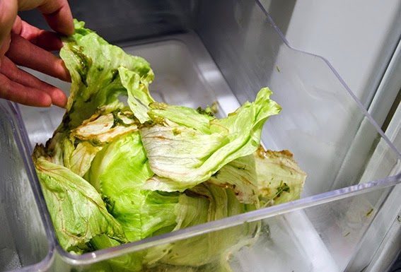 “Remarkable Ingredient that Revives Lettuce to Make it Taste Delicious”