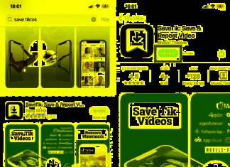 Removing the TikTok Logo and Deleting TikTok ID After Downloading the 2023 Version