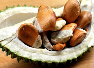 Are Durian Seeds Edible? Delicious Recipes Using Durian Seeds