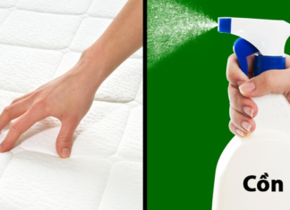 15 Easy-to-Find Household Items Hacks to Transform Everything into Spotless Brilliance