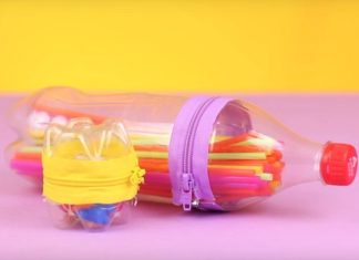 7 Innovative Ways to Repurpose Plastic Bottles at Home That You Can’t Miss