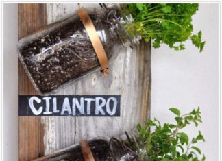 10 Creative Ideas for an Indoor Herb Garden in Your Townhouse