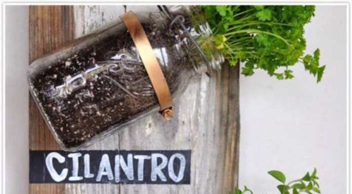 10 Creative Ideas for an Indoor Herb Garden in Your Townhouse