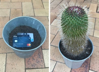 10 Unbelievable Places to Hide Your Valuables