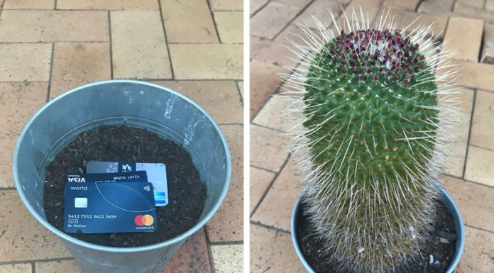 10 Unbelievable Places to Hide Your Valuables