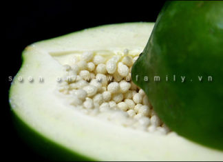 Secrets to Tenderize Meat in Your Recipes