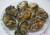 Easy and Quick Tips for Shucking Oysters