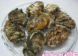 Easy and Quick Tips for Shucking Oysters