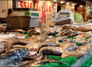 Secrets to Choosing Fresh and Delicious Fish