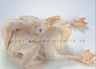 The Succulent Secrets to Preparing Duck: A Clean and Tasty Treat