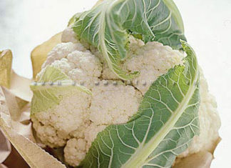 How to Select, Store, and Prepare Cabbage Soup