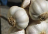 Things to Know When Using Garlic