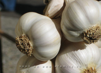 Things to Know When Using Garlic