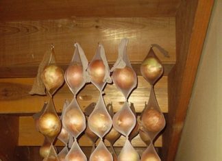 12 Simple and Useful Tips for Preserving Fruits and Vegetables