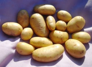 12 Items You Shouldn’t Store in the Refrigerator