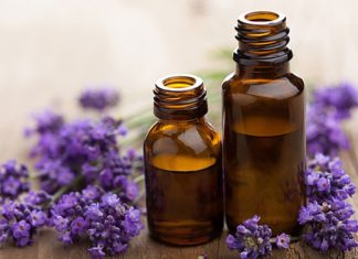 5 Surprising Ways to Chase and Kill Mosquitoes, Using 5 Everyday Household Ingredients