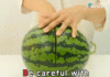 This Tet, try a new way to carve watermelon – just a gentle tap and seeds pour out!
