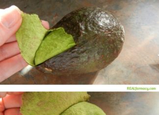 5 Expert Tips for Fast and Accurate Food Cutting