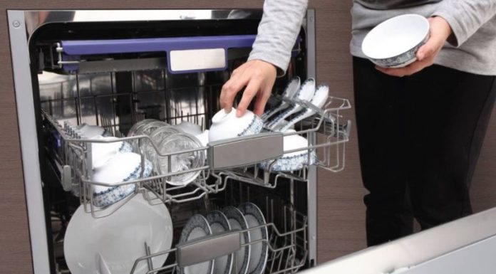 5 Effective Tips to Prevent Mold in Dishwashers