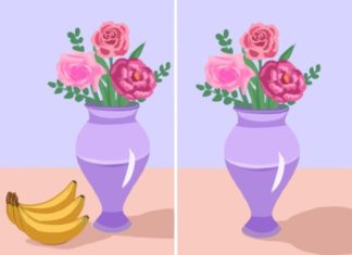 7 Simple Ways to Keep Flowers Fresh Longer at Home