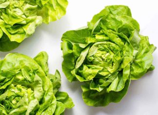 Secrets to keeping lettuce fresh and crisp for 14 days