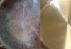 Are the “rainbow streaks” on stainless steel pots harmful?