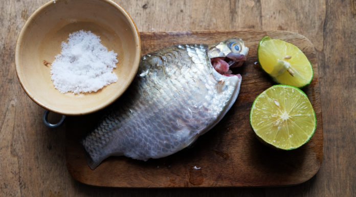 Tips to Identify Fresh Eggs vs Bad Eggs