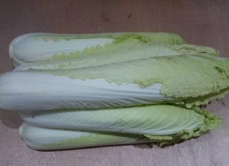 What is Hot Yoga? Benefits of Hot Yoga