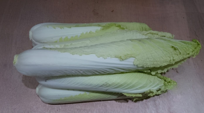 What is Hot Yoga? Benefits of Hot Yoga