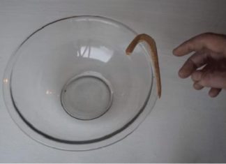 Upturning the old bowl is your ultimate trap for mice that has been used for centuries
