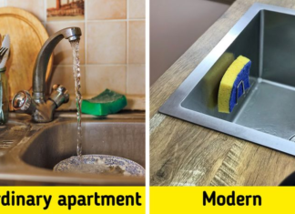 Transform your ordinary apartment into a modern haven with just 10 simple items