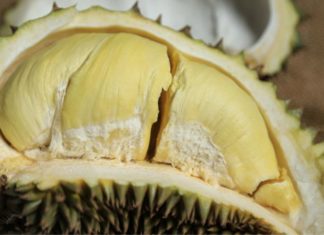 4 Decadent Ways to Enjoy Durian Delights