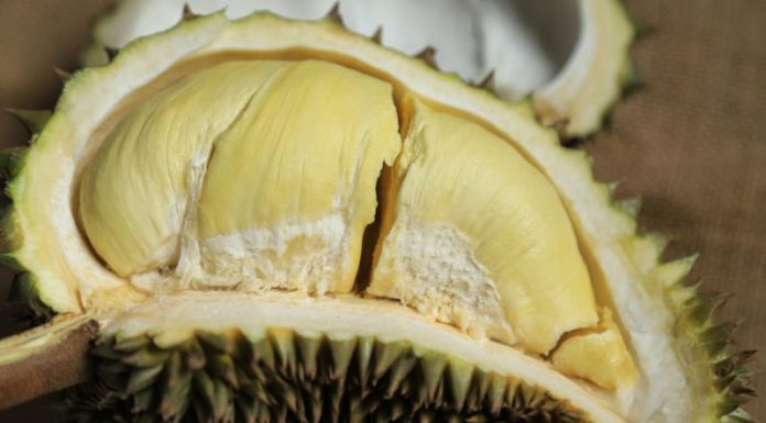 4 Decadent Ways to Enjoy Durian Delights