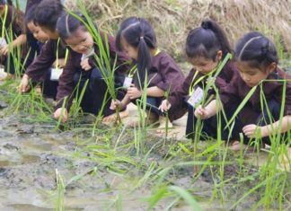 Parents, Bring Your Kids to These Destinations for Holistic Development