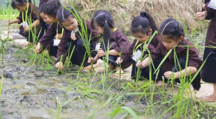 Parents, Bring Your Kids to These Destinations for Holistic Development